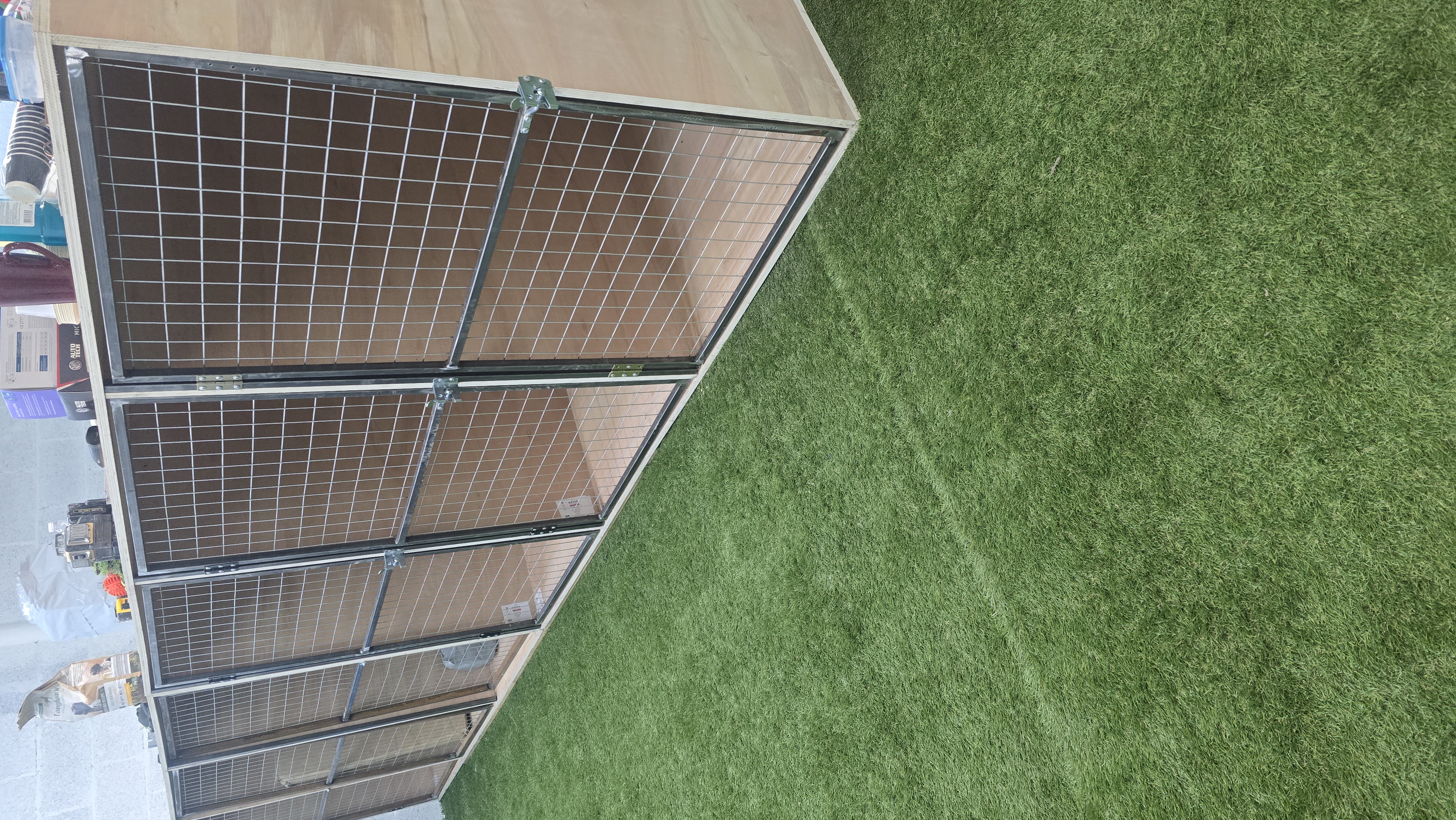 6-Week Elite Transformation